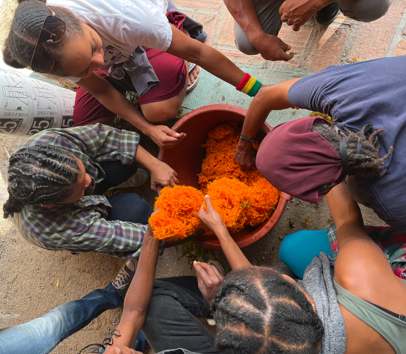 Farmers in the cross-network cluster focused on fiber gathered in person in Oaxaca, Mexico to connect and learn about scaled natural dye processing.