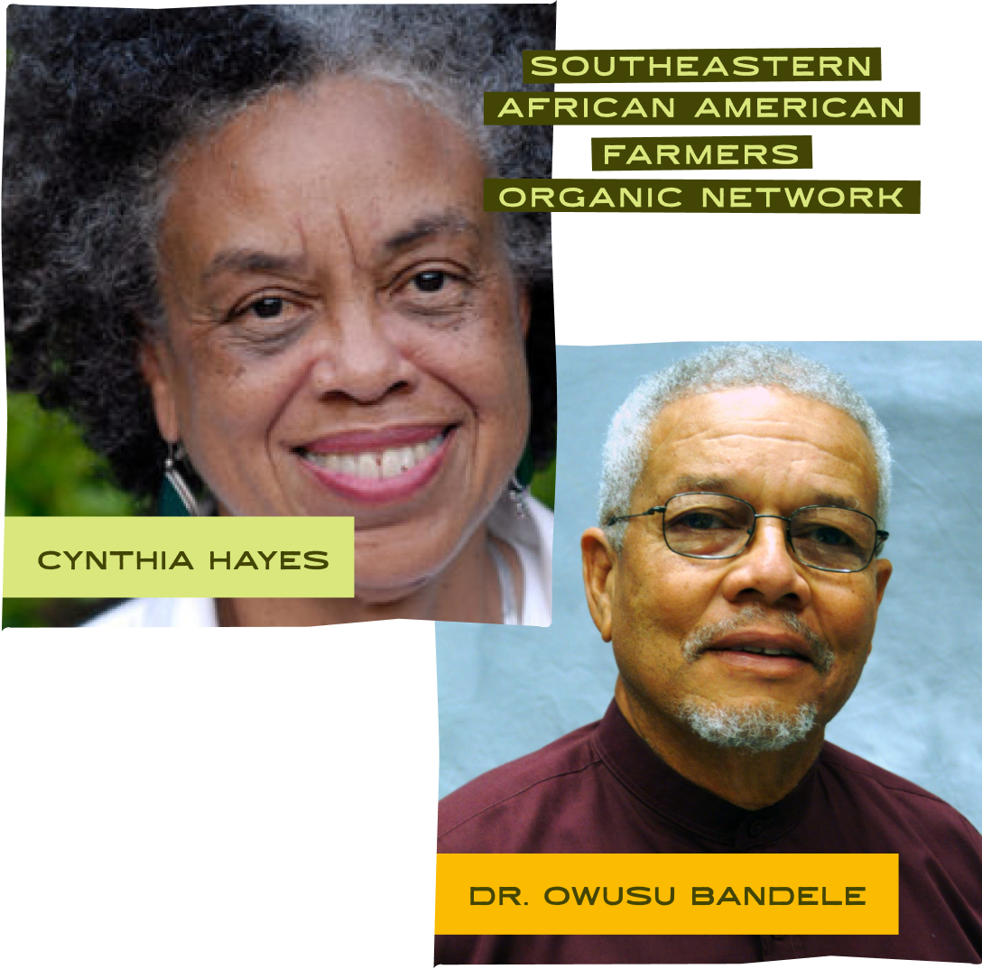 Cynthia Hayes and Dr. Owusu Bandele